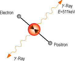 electron positron annihalation
